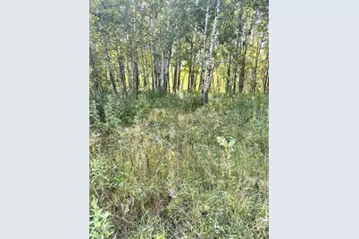 31603 Brook Park Road, Brook Park, MN 55007 - Photo 30