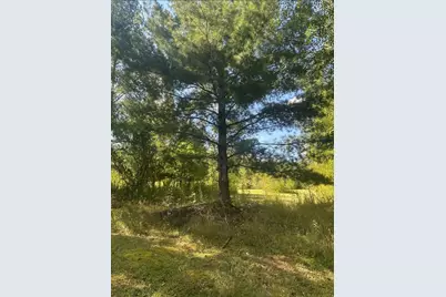 31603 Brook Park Road, Brook Park, MN 55007 - Photo 34