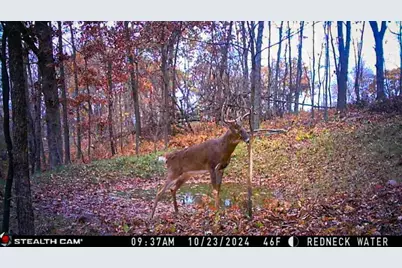 W27022 Whistle Pass Road, Dodge, WI 54661 - Photo 96