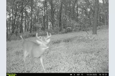 W27022 Whistle Pass Road, Dodge, WI 54661 - Photo 78
