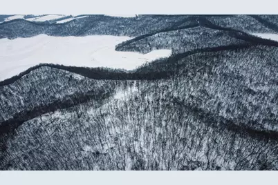 W27022 Whistle Pass Road, Dodge, WI 54661 - Photo 8