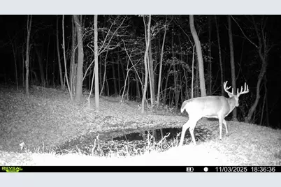 W27022 Whistle Pass Road, Dodge, WI 54661 - Photo 114