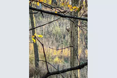 W27022 Whistle Pass Road, Dodge, WI 54661 - Photo 44