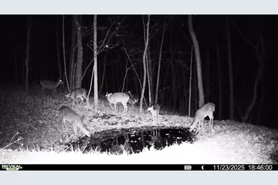 W27022 Whistle Pass Road, Dodge, WI 54661 - Photo 64