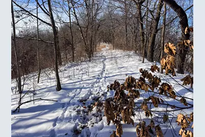 W27022 Whistle Pass Road, Dodge, WI 54661 - Photo 10