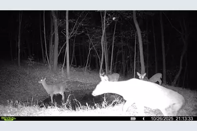 W27022 Whistle Pass Road, Dodge, WI 54661 - Photo 112