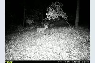 W27022 Whistle Pass Road, Dodge, WI 54661 - Photo 74