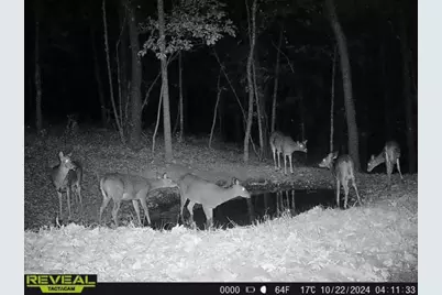 W27022 Whistle Pass Road, Dodge, WI 54661 - Photo 22