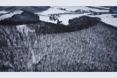 W27022 Whistle Pass Road, Dodge, WI 54661 - Photo 54