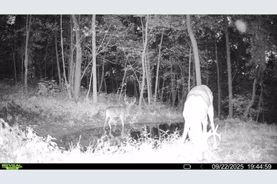 W27022 Whistle Pass Road, Dodge, WI 54661 - Photo 108