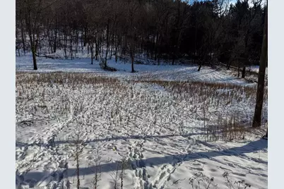 W27022 Whistle Pass Road, Dodge, WI 54661 - Photo 38