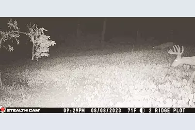 W27022 Whistle Pass Road, Dodge, WI 54661 - Photo 82