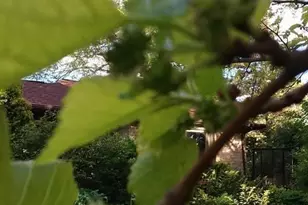 1280 Dodd Rd, Mendota Heights, MN 55118 - Photo 10