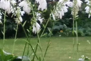 1280 Dodd Rd, Mendota Heights, MN 55118 - Photo 36