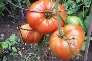 1280 Dodd Rd, Mendota Heights, MN 55118 - Photo 34