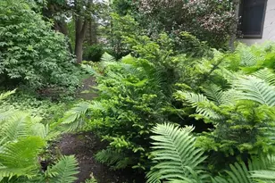 1280 Dodd Rd, Mendota Heights, MN 55118 - Photo 30