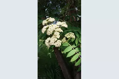 1280 Dodd Road, Mendota Heights, MN 55118 - Photo 50