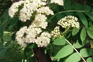 1280 Dodd Rd, Mendota Heights, MN 55118 - Photo 50