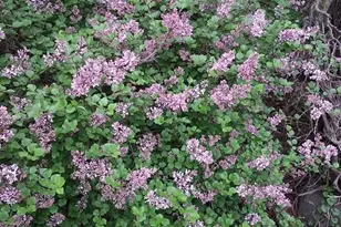 1280 Dodd Rd, Mendota Heights, MN 55118 - Photo 26