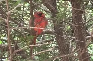 1280 Dodd Rd, Mendota Heights, MN 55118 - Photo 24