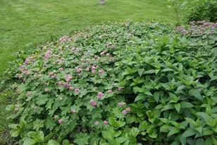 1280 Dodd Rd, Mendota Heights, MN 55118 - Photo 8