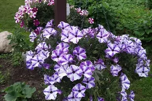 1280 Dodd Rd, Mendota Heights, MN 55118 - Photo 28