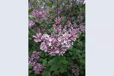 1280 Dodd Road, Mendota Heights, MN 55118 - Photo 38