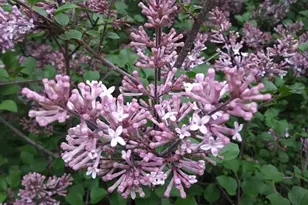 1280 Dodd Rd, Mendota Heights, MN 55118 - Photo 38