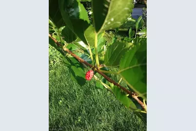 1280 Dodd Road, Mendota Heights, MN 55118 - Photo 36