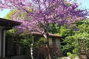 1280 Dodd Rd, Mendota Heights, MN 55118 - Photo 2