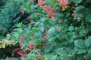 1280 Dodd Rd, Mendota Heights, MN 55118 - Photo 14