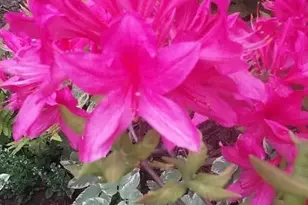 1280 Dodd Rd, Mendota Heights, MN 55118 - Photo 18