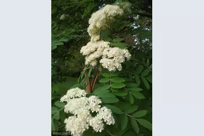 1280 Dodd Road, Mendota Heights, MN 55118 - Photo 58