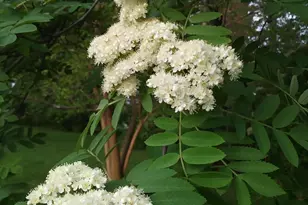 1280 Dodd Rd, Mendota Heights, MN 55118 - Photo 58