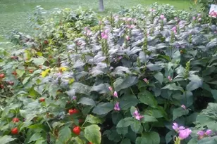 1280 Dodd Rd, Mendota Heights, MN 55118 - Photo 8