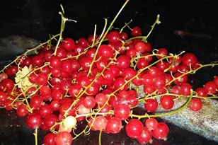 1280 Dodd Rd, Mendota Heights, MN 55118 - Photo 14