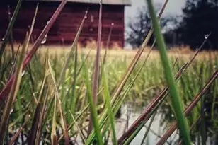 13601 123rd St, Little Falls, MN 56345 - Photo 6