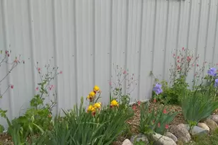 13601 123rd St, Little Falls, MN 56345 - Photo 10