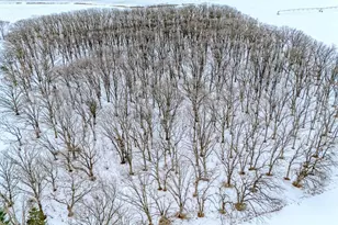 13601 123rd St, Little Falls, MN 56345 - Photo 66