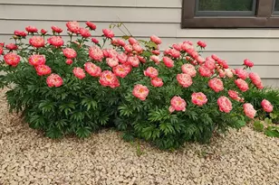 1688 Chatham Ave, Arden Hills, MN 55112 - Photo 52