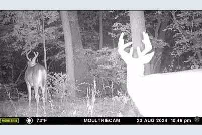 25048 County Road 34, Paynesville, MN 56362 - Photo 74