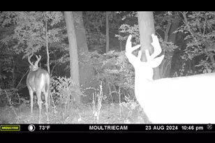 25048 Co Rd 34, Paynesville, MN 56362 - Photo 74