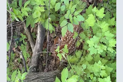25048 County Road 34, Paynesville, MN 56362 - Photo 72
