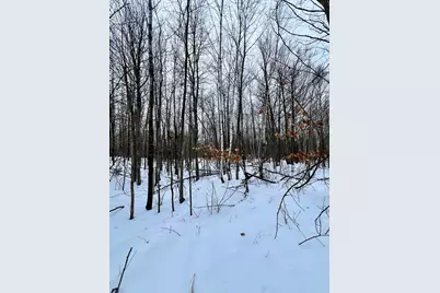 101 Baich Drive, Coleraine, MN 55722 - Photo 12