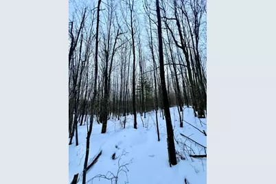 Tbd Baich Dr, Coleraine, MN 55722 - Photo 16