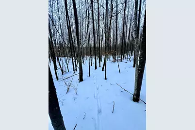 Tbd Baich Dr, Coleraine, MN 55722 - Photo 6