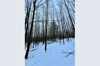 Tbd Baich Dr, Coleraine, MN 55722 - Photo 10