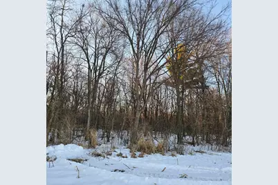 Tbd County Rd Dd, Eau Galle, WI 54737 - Photo 1