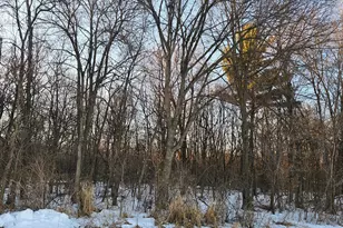 Tbd County Rd Dd, Eau Galle, WI 54737 - Photo 1