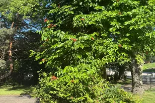 2720 64th St E, Inver Grove Heights, MN 55076 - Photo 84